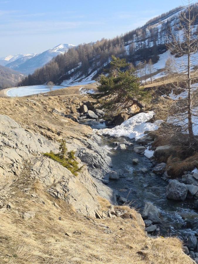 Grand Studio 28 M2 Tout Confort Au Pieds Des Pistes Allos Buitenkant foto